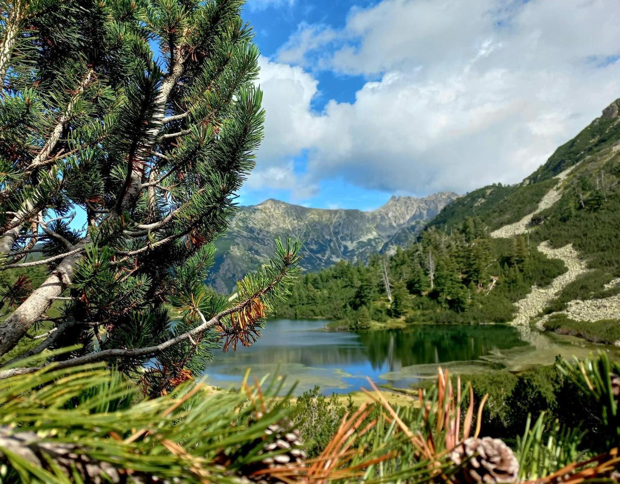 Alpine Lodge Bansko Apartments Ngoại thất bức ảnh