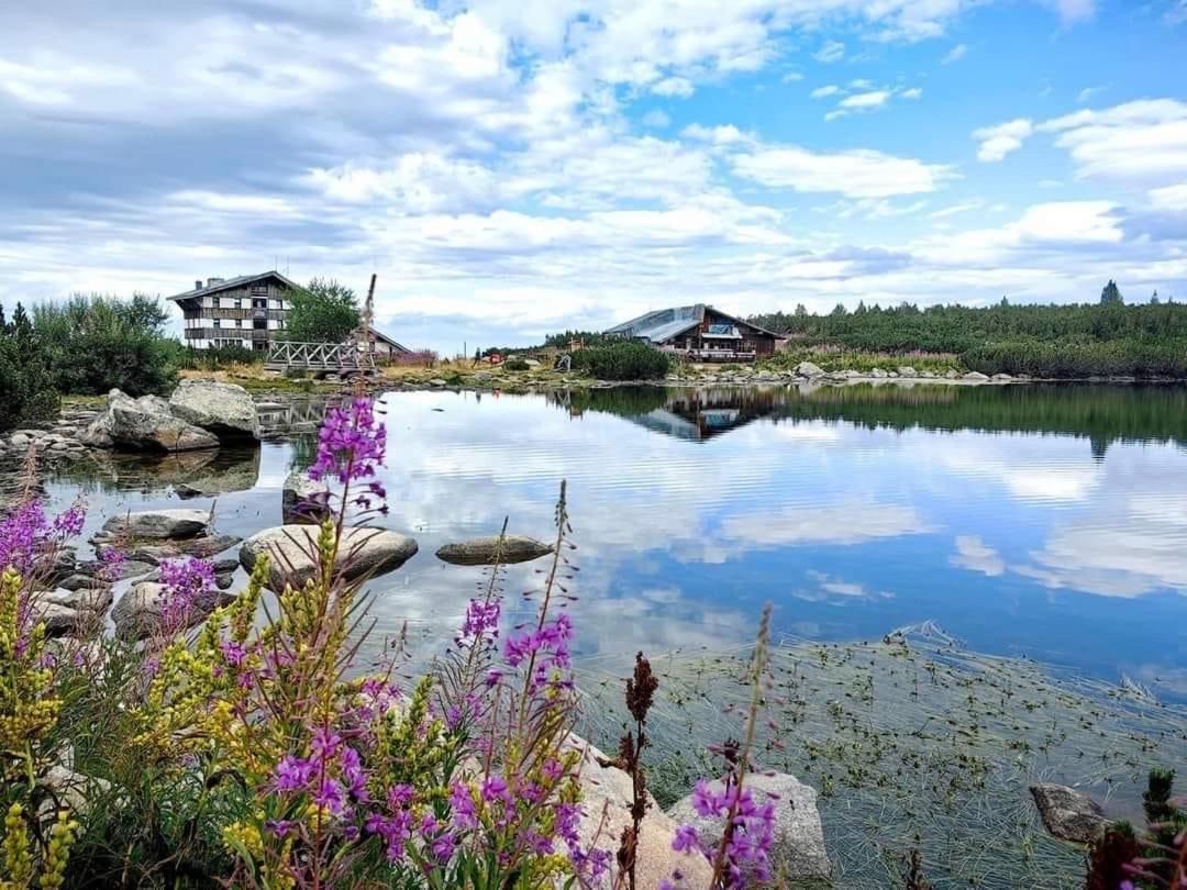 Alpine Lodge Bansko Apartments Ngoại thất bức ảnh