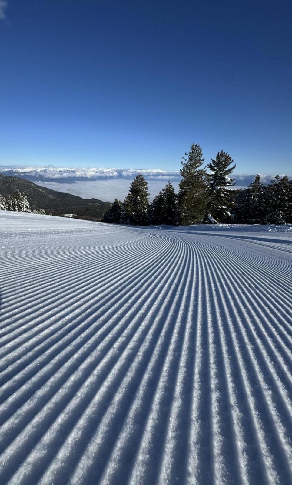 Alpine Lodge Bansko Apartments Ngoại thất bức ảnh